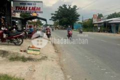 Tân hạnh long hồ vĩnh long