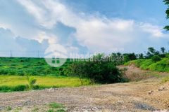 Chính chủ bán đất vườn có thổ cư gần hồ suối rao