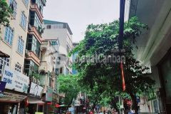 Không tưởng bán đất tặng nhà mặt phố vương thừa vũ 183m2 mặt tiền 9m giá 39 tỷ