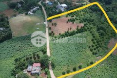 Bán gấp siêu phẩm nghỉ dưỡng 1,4ha có 1200m2 thổ cư ở thung mường