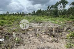 Bán 1000m2 đất vườn 2mt kênh, xã thạnh hoà, bến lức. 1.5 tỷ. lh0902462737