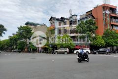 Duy nhất mặt phố việt hưng 96m2 mt6m kinh doanh bất chấp đầu tư.