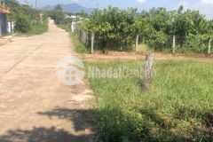 Đất bds tân hà hàm tân mặt tiền đường số 12 10x45 60 thổ cư giá 2 tỷ có sẵn nhà