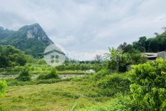 Bán gấp lô đất có dt 5200m2 có sẵn 500m2 thổ cư, chỉ cách serena resort có 3km