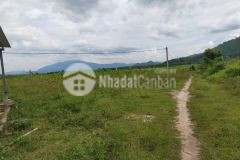 Bán 17 ha đất xã ninh tây, ninh hoà, shr, chỉ 700trha. lh0782712038.