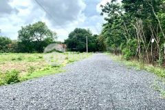 Đất thạnh bình tỉnh tây ninh đấtthổsổsẳn xuhướng