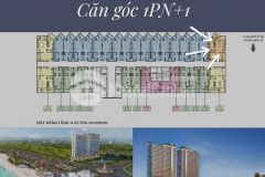 Chỉ còn 1 căn góc duy nhất chiết khấu 120 triệu