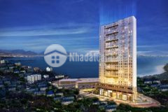 Ra mắt căn hộ sân vườn tt quy nhơn cách biển 800m