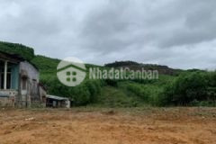 Bán đất bình thành 1200m2 giá đầu tư giá 2 2 triệu