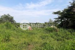 Đất sông trầu 1 mẫu 6 đã có thổ cư nhà