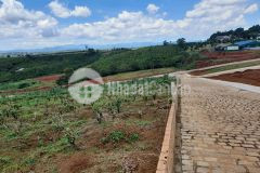 Bán đất nền nghỉ dưỡng tại thành phố bảo lộc full thổ cư 100