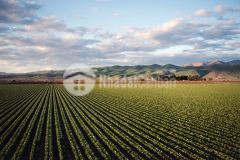 Đất mặt tiền hiện hữu sổ 55m gần dân, safari rạng đông giá chỉ 145km2