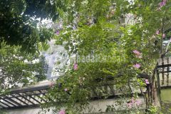 Chính chủ cần bán gấp nhà văn quán 75m2x5t, vỉa hè oto, khu vực vip. giá nhỉnh 12 tỷ.