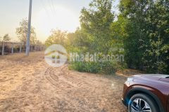 Bán 2500m2 trồng tràm đang chờ thu hoạch, kdl safari hồng liêm, shr, lh 0937251240