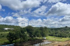 Đất nền nam đà lạt, sổ đỏ thổ cư sang tên ngay. đón các ông lớn về khai thác như novaland, hưng thịn