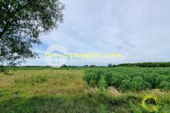 Bán đất cam thủy, cam lộ đường 8 m giá chỉ 5xx triệu