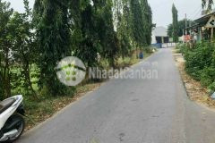 Cần bán miếng đất 105m2 ở củ chi giá 620 triệu.shr