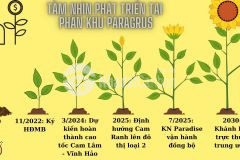 Nhà phố biển cam ranh khánh hòa