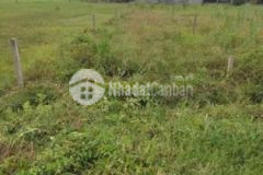 Chủ kẹt tiền bán lô đất đẹp vuông vức