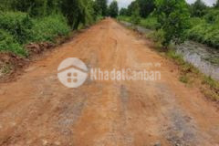 Đất ở xã lê minh xuân bình chánh 1000m2 sổ riêng