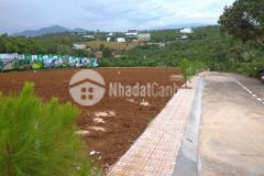 Đất lộc an thanh khoản cao