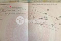 Cần bán gấp đất đội 2 xã kim đính