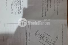 Lô đất có diện tích hơn 300m2 ở nông trường mộc châu phù hợp kinh doanh mọi loại hình