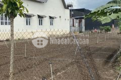 Bán 250m2.5x25m. 100m thổ cư đất xã phú hội. đức trọng. giá 1.39 tỷ. lh 0978053738