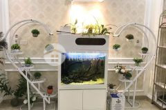 Hiếm đẹp đỉnh phố quan hoa 45m2 x 5t 2 thoáng ở đỉnh 4 tỷ