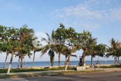 Sơn trà bán gấp mt lô góc lê tấn trung1036m2 dtxd 4t giá chỉ 26 27 tỷ lh ngay 0905891799 thảo bđs nh