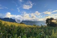 Đất nền sa pa 2. nằm trong quy hoạch phát triển khu đô thị mới y tý