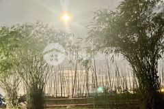 Chỉ 1 lô duy nhất view ruộng tại trà đa pleiku gia lai.