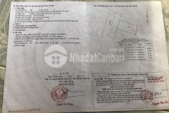 Bán 1000m2 đất trồng cây lâu năm đường nguyễn văn long bình chánh