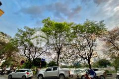 Bán nhà hồ ba mẫu đống đa, xây 50m4t ôtô đỗ thoải mái