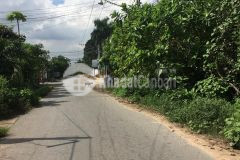 Đường nhựa ngay chợ ninh điền châu thành tây ninh