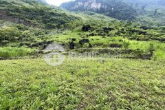 Mảnh đất diện tích rộng tại quản bạ thích hợp khai thác du lịch hà giang