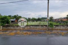 Đất củ chi giá rẻ, nở hậu gần 1500m2, 516m tc đường nhựa thông