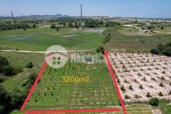 Bán gấp, bán gấp lô đất phan hòa, bắc bình, bình thuân, giá chỉ 900tr, cực rẻ.