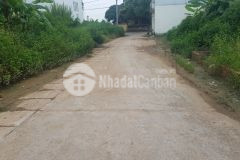 Bán gấp 86m2 đất đấu giá hoàng long, đặng xá, gia lâm, đường rộng 6m ô tô tránh