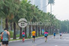 Bán căn 3pn đông nam duy nhất tại s1.01 vinhomes ocean park giá 2.98 tỷ