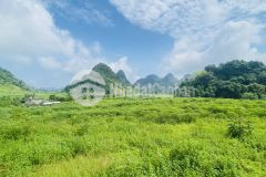 Siêu phẩm nghỉ dưỡng diện tích lên đến 1ha có sẵn 1000m2 thổ cư sở hữu tầm view triệu đô