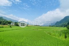 Bán gấp lô đất có dt 2000m2 có 540m2 tc view cánh đồng cực đỉnh bám suối chỉ cách đường 12b 50m