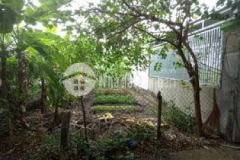 Đất xây biệt thự vườn mĩ hạnh nam 6x41