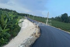 Bình ba 2 sào giá rẻ chỉ 200 tr.