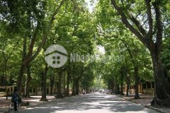 Mặt phố nguyễn du, thơ mộng, danh vọng 67m2 6t mt4m nhỉnh 40 tỷ. lh khánh trần 0972858666