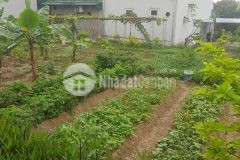 Đất nền vân đồn giá rẻ, cơ hội vàng cho nhà đầu tư