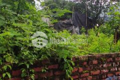 Chủ bán đất mai hiên, đông anh, ngõ thông, ô tô, tiện ích ngập tràn, nhỉnh 2 tỷ, 037.5555.372