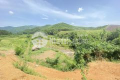 Bán gấp siêu phẩm nghỉ dưỡng có dt 1,2ha ở cuối hạ bám suối view cánh đồng