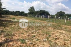 Sốc, sốc lô cực rẻ, xuân hòa, xuân lộc, đồng nai, dt 1215,2m2.