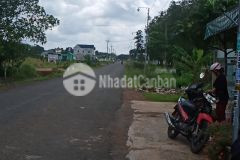 Bán đát chơn thành sổ săn giả rẻ,có ngân hàng hổ trợ